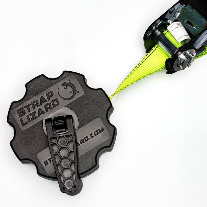 Strap Lizard with Ratchet Strap